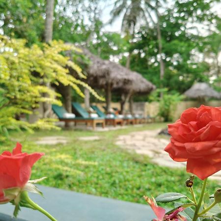 Marari Beach Bungalow Resort Alleppey Mararikulam Eksteriør billede